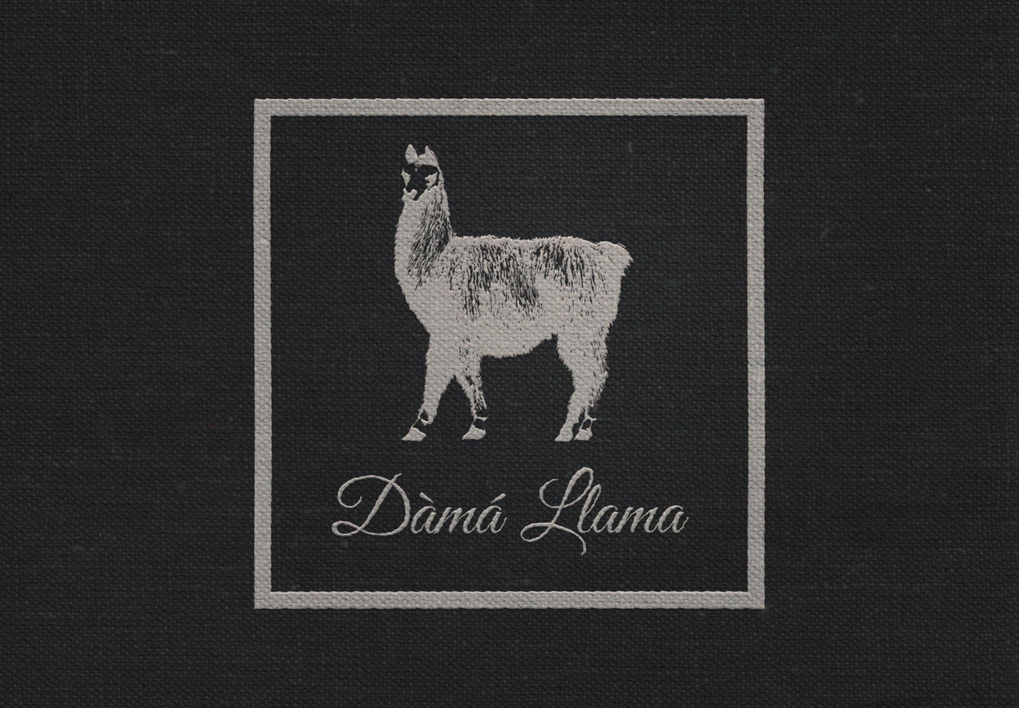 Dama Llama Logo